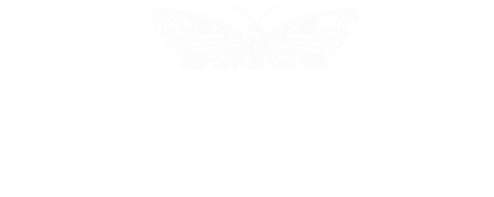 Witch's Diary